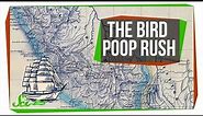 The World's Bird Poop Obsession