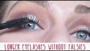 Longer Eyelashes Without Falsies Tutorial | Cassandra Bankson