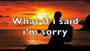 What if i said I'm sorry [LYRICS]- Loving Caliber feat: Jonathan Kanat