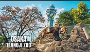 Osaka Tennoji Zoo Walking Tour (January 2023)