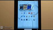 Nook HD+ with Google Play Review + Tips