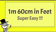 1 60 CM in FEET - Super Easy!