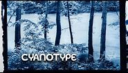 8x10 Cyanotype Printing - Large Format Friday