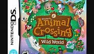 Animal Crossing: Wild World - The Roost (original)