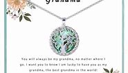 Smilebelle Gifts for Grandma Necklace Tree of Life Necklace as Grandma Gifts for Nana from Grandkids, Generations Necklace for Grandma Birthday Gifts from Granddaughter, NaNa Gifts Ideas for Grammy