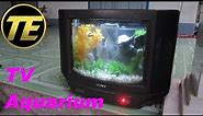 How To Build a TV Aquarium