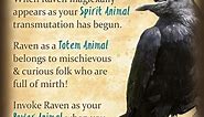 Raven Symbolism & Meaning | Raven Spirit Animal & Totem