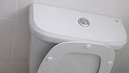 How to Fix a Toilet Flush Button [10 Easy Steps]