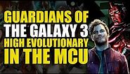 GoTG 3 & The High Evolutionary | The MCU Explained