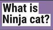 What is Ninja cat?