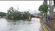 Typhoon Haima Halts Transport, Public Services in Hong Kong