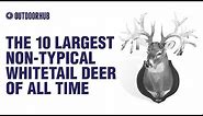 The 10 Largest Non-Typical Whitetail Deer of All Time