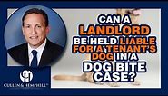 Can A Landlord Be Held Liable For A Tenant's Dog In A Florida Dog Bite Case?