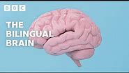 The AMAZING scientific benefits of being bilingual | BBC Ideas - BBC