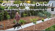 How to Plant, Prune, and Irrigate Fruit Trees EVERYTHING YOU NEED TO KNOW