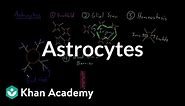 Astrocytes | Nervous system physiology | NCLEX-RN | Khan Academy