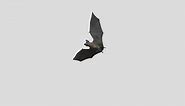 Bat Animation Fly - Download Free 3D model by Zinaida.Kovrova