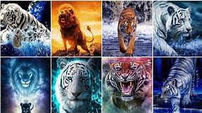 Lion DPZ, Wallpapers, images, photos, pics | Lion dp photos | Lion Wallpaper Image | Lion Photo