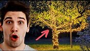 Trick To Hanging Lights In An Outdoor Tree For Christmas