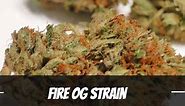 Fire OG Marijuana Strain Information and Review