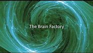 The Brain Factory (updated video)