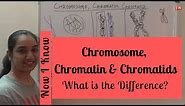Chromosome, Chromatin and Chromatids – What is the Difference?