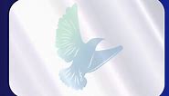 Visa at 60 - Holographic Dove