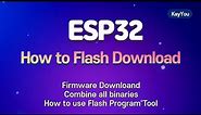 esp32 How to : Flash download