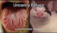 Beluga becomes Uncanny (Meme) | Uncomfortable images