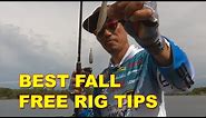 Fall Bass Fishing with the Free Rig with Shin Fukae | How To | Bass Fishing