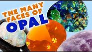 All Different Types of Opal | Unboxed & Hands On