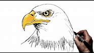 How To Draw an Eagle | Step by Step