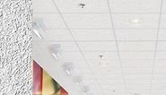CIRRUS Square LayIn Tegular | Armstrong Ceiling Solutions – Commercial