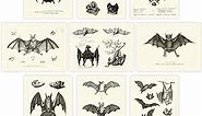 Bats Wall Decor/Vintage Halloween Decor, Halloween Decor Posters/Science Room Art, Great Gift for Bat Lovers & UNFRAMED Creepy Scary Anatomical Picture Poster Set of 9 Gothic Room Decor (8x10)