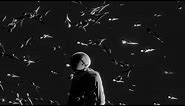 Black and White Flowers Video Loop | 4K Royalty-Free Background Video