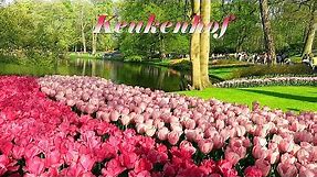 Keukenhof 2018 - The most beautiful flower park in the world