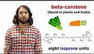 Lipids Part 1: TAGs, Fatty Acids, and Terpenes