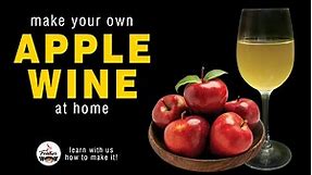 How to make Apple Wine at home | Homemade Wine