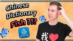 Pleco Chinese Dictionary App 2019 review + DISCOUNT