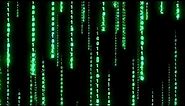 Matrix Binary Falling Rain Code Screensaver | 10 Hours Screensaver & Live Wallpaper HD! No Audio!