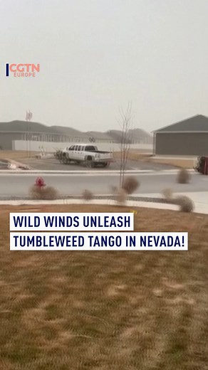 8.3K views · 35 reactions | As fierce winds swept across the state,...