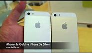 iPhone 5s Gold VS iPhone 5s Silver