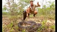 Africa's Deadliest Snakes (Part 1)