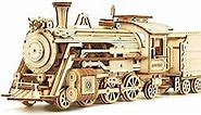 ROKR Model Car Kits Wooden 3D Puzzles Model Building Kits for Adults to Build-Educational Brain Teaser Assembly Model, Desk Decor/DIY Hobbies/Gifts for Teens&Kid (Prime Steam Express/12.1*2.7*3.3)