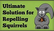 AMAZING Squirrel Repellent! - Best Way to Repel Squirrels Naturally - Repelling Rodents