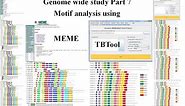 Genome wide study Part 7 | Motif Analysis | MEME