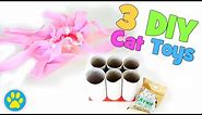 3 Super Simple DIY Cat Toys