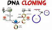 DNA cloning