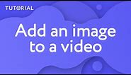 How to ADD A PHOTO or an image TO A VIDEO? (Movavi Video Editor 15)
