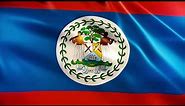 Belize Flag Waving | Belizean Flag Waving | Belize Flag Screen